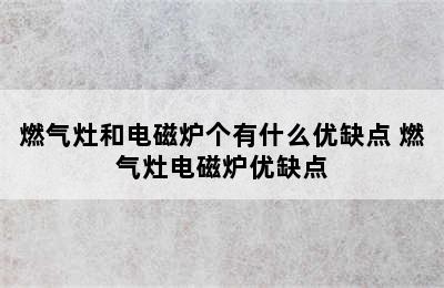 燃气灶和电磁炉个有什么优缺点 燃气灶电磁炉优缺点